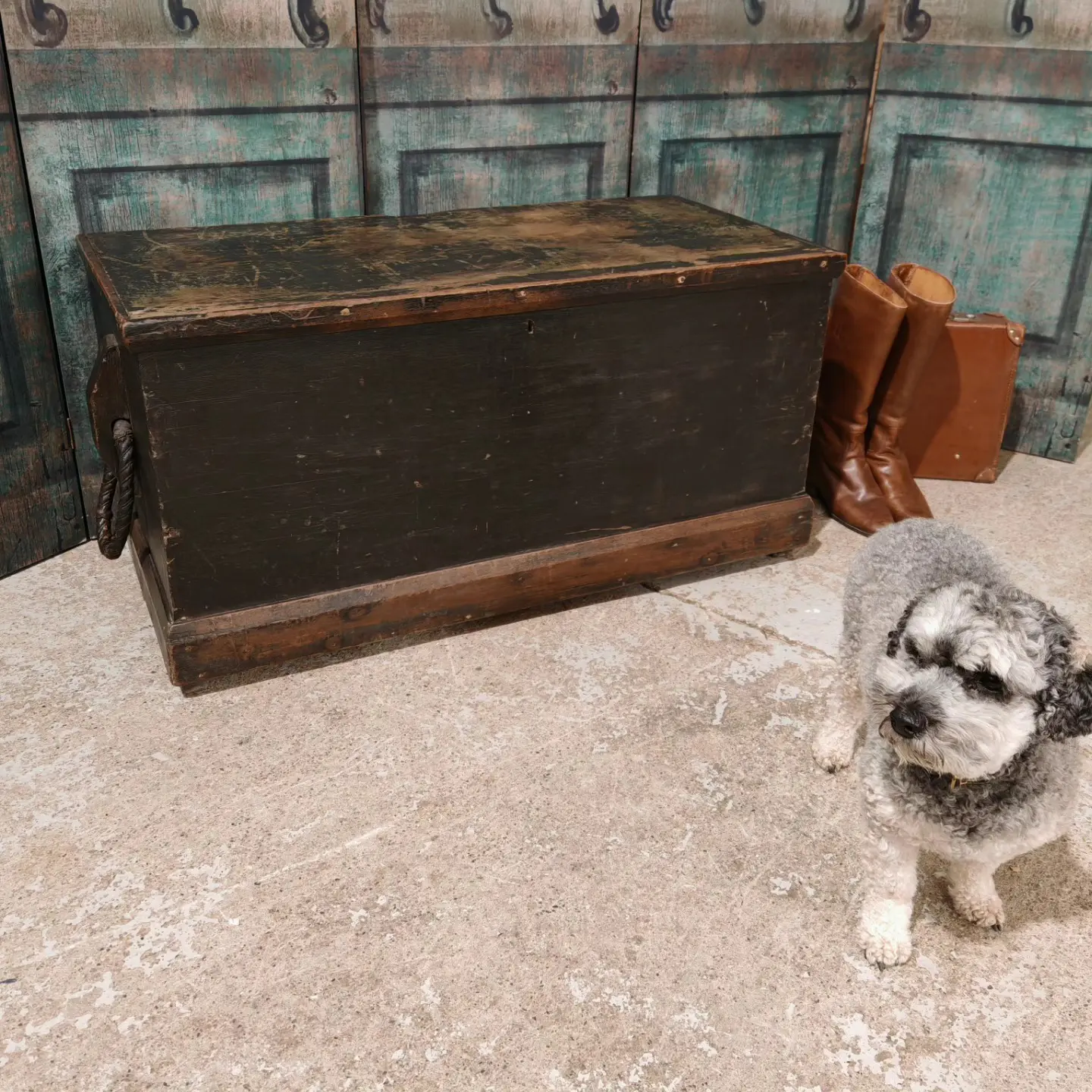 580486042_1416234970510067_8685551787914159223_n